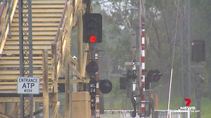 34K views · 142 reactions | A fallen tree caused an all-day shutdown of trains on the Sunshine Coast. The tree brought down a vital powerline, causing hour-long delays to the Brisbane commute. 7NEWS at 6pm. Download the 7NEWS app: 7news.link/7newsapp #7NEWS | 7NEWS Sunshine Coast | Facebook