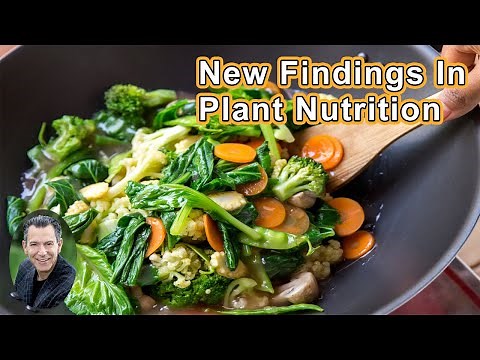 New Findings In Plant Nutrition: Lignans, Olive Oil, And More! - Joel K. Kahn MD