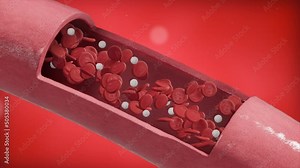 Seamless loop. Red blood cells erythrocytes with leukocytes flow inside an artery, cross section artery view. Healthy blood flow. Concept of scientific, medical, stream, vessel, health, system, artery