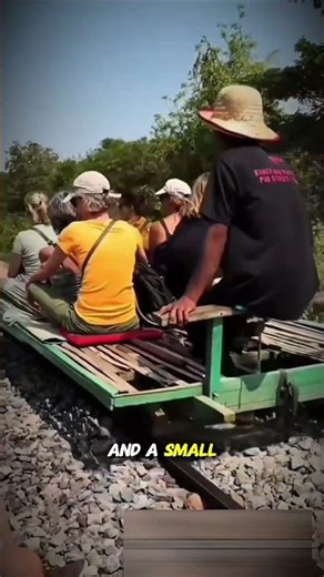 Unique Transportation: Assembled Bamboo Train! 🚂🤯