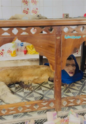 Mumtaz Begum: A Cultural Icon