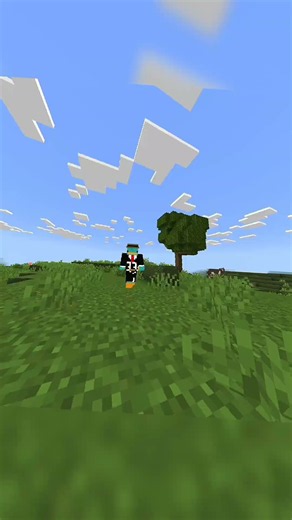 Minecraft's Height Limit Is a Lie...
