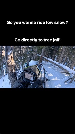 Who else has been to tree jail🤷🏻‍♂️ | Matt Entz