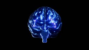 Brain digital with electric current moves and network of numbers. Animation Seamless loop and green sceen. Artificial intelligence concept background. Can be used in elements related to technology.