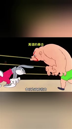 Rabbit Boxer Story: A Hilarious Journey