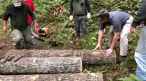 7K views · 386 reactions | Eustace Conway Log-splitting tutorial | Turtle Island Preserve | Facebook