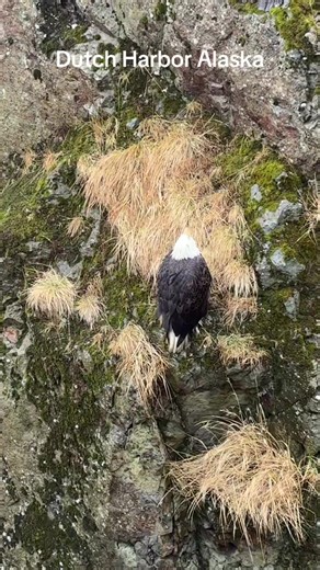 Discovering Dutch Harbor, Alaska