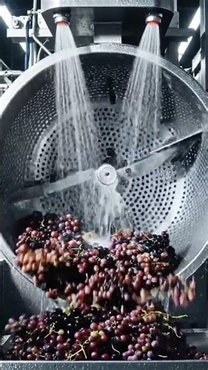 Inside America's Massive Grape Juice Factory 🍇 | Satisfying Production Process