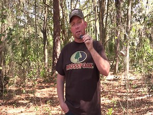27K views · 326 reactions | Brand NEW for 2017, the NINJA GHOST! If you love a ghost cut then this is the one for you! Check out Scott C. Ellis demonstrate this instrument for creating HEN MUSIC! | WoodHaven Custom Calls | Facebook