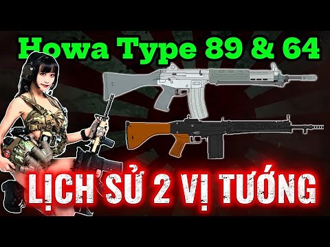 History of the Howa Type 64 & Type 89 Rifles: The Birth of the JSDF, From Type 64 to Type 20