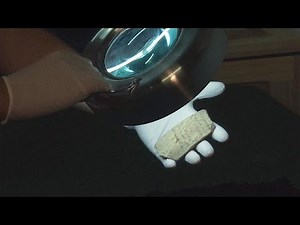 Bibel womöglich noch älter, als angenommen - science