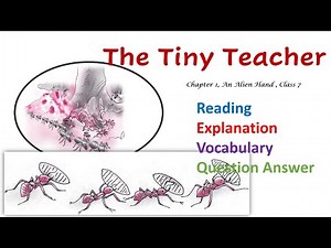 Chapter 1: The Tiny Teacher- An Alien Hand Video Lecture | Crash Course for Class 7