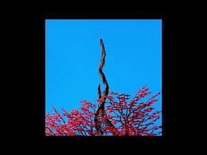 (offvocal)ヨルシカ / ヘビ -Snake- リアルカラオケ(Instrumental) アニメ「チ。 ―地球の運動について―」EDテーマ