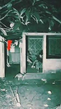 "Live Now: Real Ghost Sightings 😨 | Haunted House Caught by Camera | Paranormal Stream"