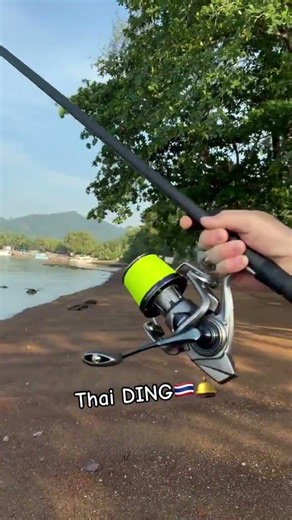 Thai DING 🛎️ #casting #tuition #carp #shorts DDAWNG Fishing