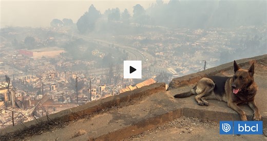 Primeras imágenes a la luz del día muestran devastación de casas y locales en Penco por incendios