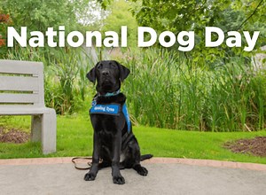 10 Heartwarming Dog Quotes for National Dog Day