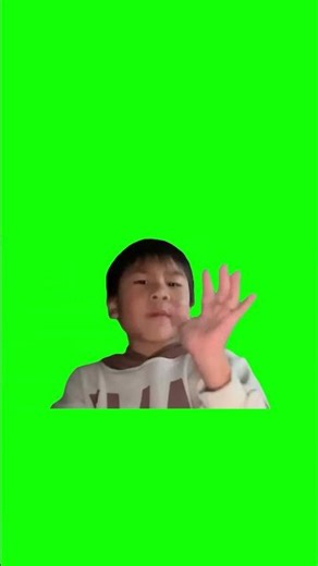 Stop Saying 67 meme - Green Screen - RyansFamily