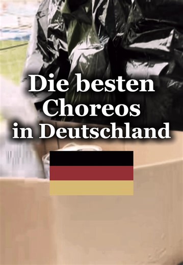 Die besten Choreos in Deutschland🇩🇪🔥 #choreography #ultras #footballtiktok #support #fyp