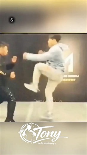 Krav maga self defense techniques