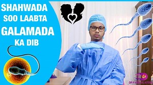 535K views · 29K reactions | 퐆퐀퐋퐌퐀퐃퐀 KA DIB WAXAA IGA SOO DAATA 퐁퐈퐘퐀퐇퐀 AMA 퐒퐇퐀퐇퐖퐀퐃 퐒헵헮헿헲-헱헵헲헵 sidoo kale xaga hoose ka wac 퐚퐬퐱퐚퐚퐛퐚퐭퐚퐚퐝퐚, si ay uga faaideystaan. 퐂퐨퐧퐭퐚퐜퐭 퐄퐦퐚퐢퐥: DrfarisAlattas@gmail.com 퐌퐀퐇퐀퐃퐒퐀퐍퐈퐃 | Dr faris Al attas | Facebook