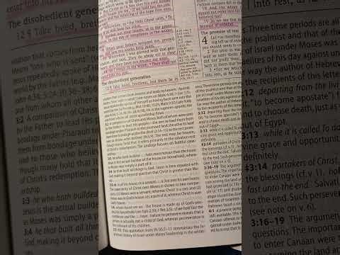 We must BELIEVE!! 🥰 Hebrews 3