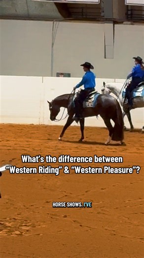 What’s the difference between “Western Riding” & “Western Pleasure”?🐴 | Katie Van Slyke