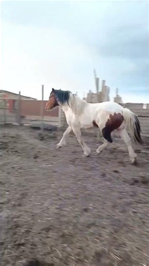 I bought it today how do you like it???