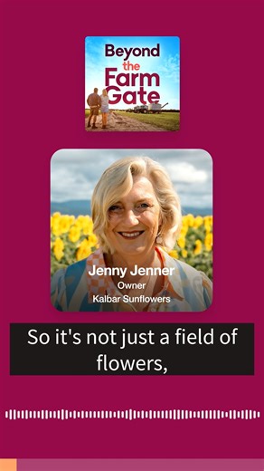 Meet Jenny Jenner, founder of the Kalbar Sunflower Festival. 🌻 Jenny and her husband Russell transitioned from lucerne farming (alfalfa) to sunflowers, sparking a hugely successful annual festival. This Instagram-worthy idea has blossomed into a major fundraiser, raising over $160,000 for cancer care and palliative care in 2025. But it’s more than just sunflowers; they've created a fully inclusive experience, including a sensory garden and wheelchair access, ensuring everyone can enjoy the beau