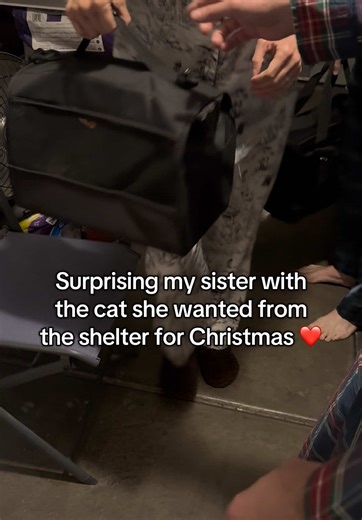 Pulled off the best surprise this Christmas ❤️ giving my sister the cat she wanted so badly from the animal shelter 🫶🏻 her reaction was priceless 🥰 #animalshelter #merrychristmas #cattiktok #husbandandwife #sisters