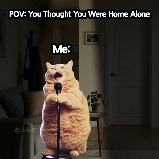 POV: You thought you were home along. #funny #catmemes #memes