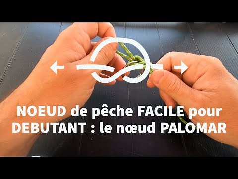 NOEUD de pêche FACILE pour DEBUTANT : le nœud PALOMAR