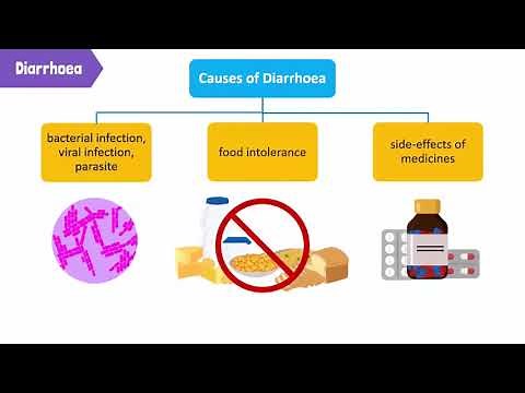 Common Disorders of the Digestive System