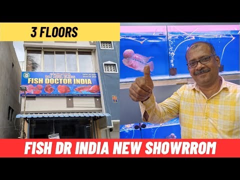 Fish doctor India new retail aquarium showroom | shop tour