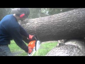 Stihl MS271 20" cutting pine
