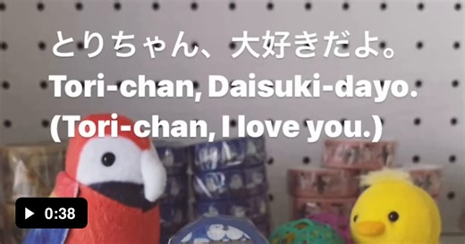 You ever see japanese parrot? Now you have - Video