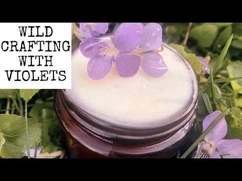 7 Things to Do with Wild Violets