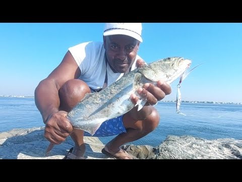How To Catch Bluefish With Snapper Zapper In Three (3) Easy Steps! #fishing #jettyfishing #bluefish