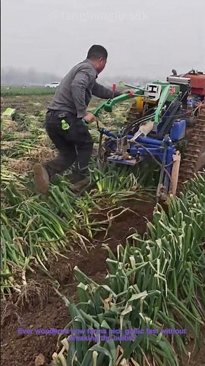 How Garlic Harvesters Speed Up Farm Work