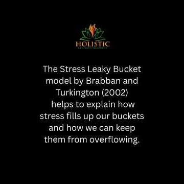 The Stress Leaky Bucket Model