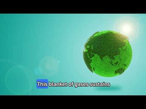 Journey of Sunlight: How Earth's Atmosphere Protects Us | Grade 7 Earth Science