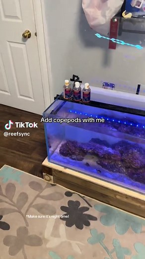 Adding Copepods to Your Reef Tank: A Step-by-Step Guide