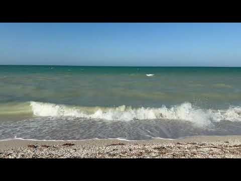 Yucatán, visiting Progresso Beech in Merida Mexico.