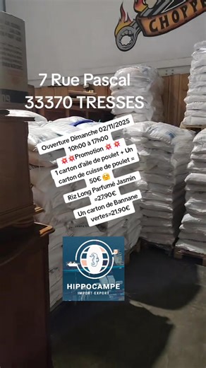 #campeimportexport 7 rue Pascal 33370 TRESSES | Hippocampe Import-Export