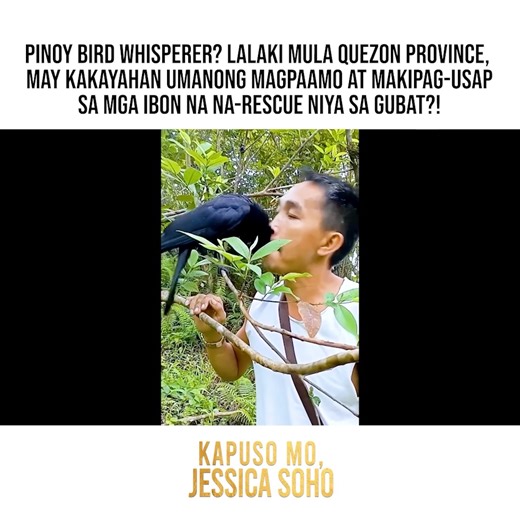 Pinoy bird whisperer? Lalaki mula Quezon Province, may kakayahan umanong magpaamo at makipag-usap sa mga ibon na na-rescue niya sa gubat?! #KMJS | Kapuso Mo, Jessica Soho (One at Heart, Jessica Soho)