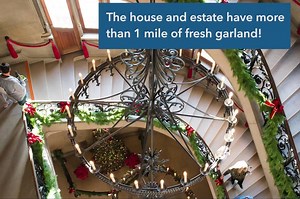 Experience the magic of Christmas at Biltmore in Asheville, N.C.! See 100 hand-decorated trees across the estate. The home's iconic rooms are donned with elegant lights, fresh garland and stunning poinsettias. Biltmore especially glows after sunset with candlelight and firelight for Candlelight Christmas Evenings (separate admission required). The celebration is going on now through Jan. 7, 2018. Learn more about Christmas at Biltmore: http://bit.ly/2lvrsdc. Turn on your audio to hear the music 