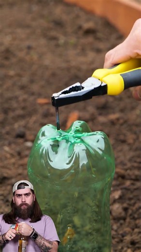 Transform Your Backyard with These Fun Garden Hacks for 2025! 🌼✨