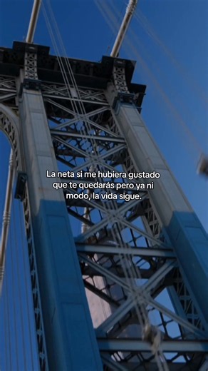 La neta si me hubiera gustado que te quedaras — frase y significado