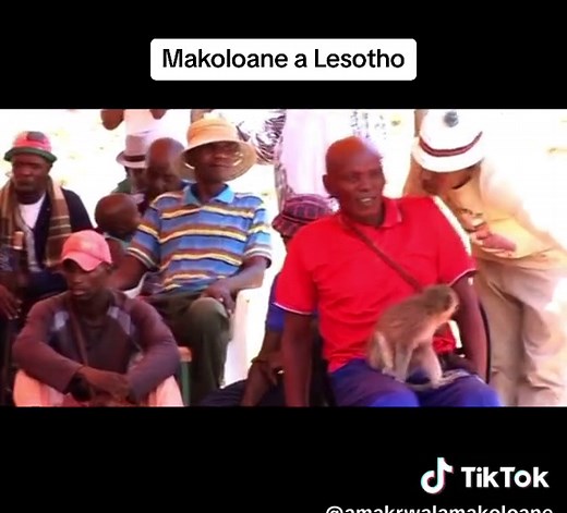 Exploring the Basotho Culture Through Makoloane | Lesotho TikTok