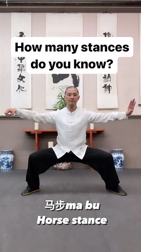 How many stances do you know? These are the basic stances of Tai Chi/Wushu (There are many more to learn in your journey!) Keep practicing! #jianfengchentaichi #daouniverse #oregontaichiwushu #taichi #wushu #kungfu #taiji #shaolin #exercise #motivation #training #太极 #武术 #功夫 #karate #mindbodyspirit | Dao Universe